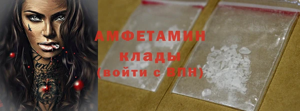 шишки Бикин