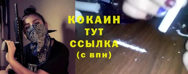 ALPHA PVP Новозыбков