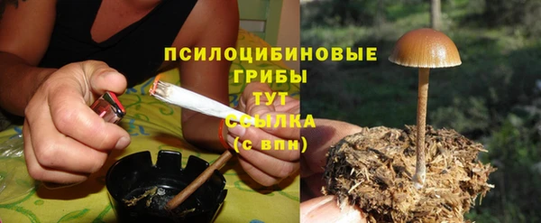 гашишное масло Новодвинск