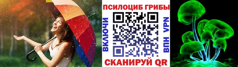 мега вход  Зима  Галлюциногенные грибы Cubensis 