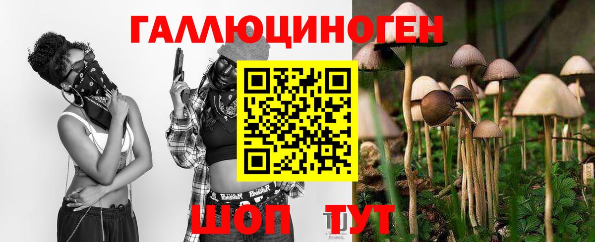 купить закладку  Вход с VPN  Зима  Галлюциногенные грибы MAGIC MUSHROOMS  Галлюциногенные грибы Cubensis 